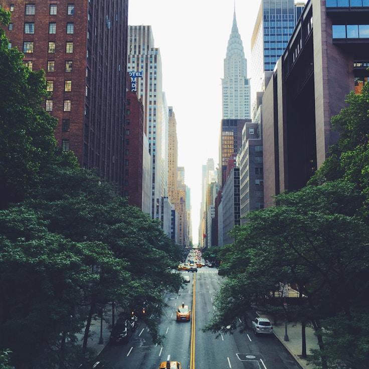 Family routine and school logistics in London